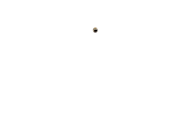 Steel Ball,5Mm | PM2820EVS-152