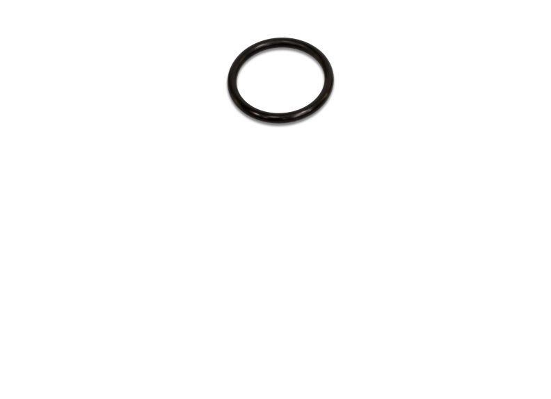 O-Ring,51.6X 5.7Mm | PM2820EVS-251